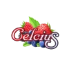 Celcius - Berries - Logo