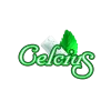Celcius - Mint - Logo